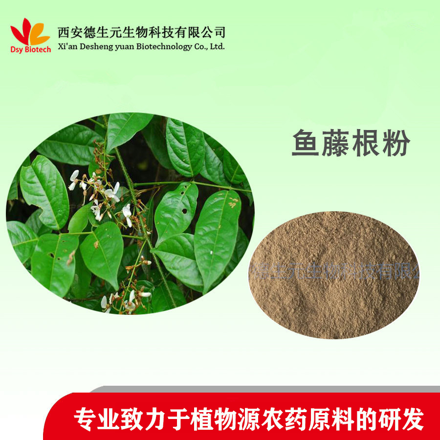 鱼藤酮根粉